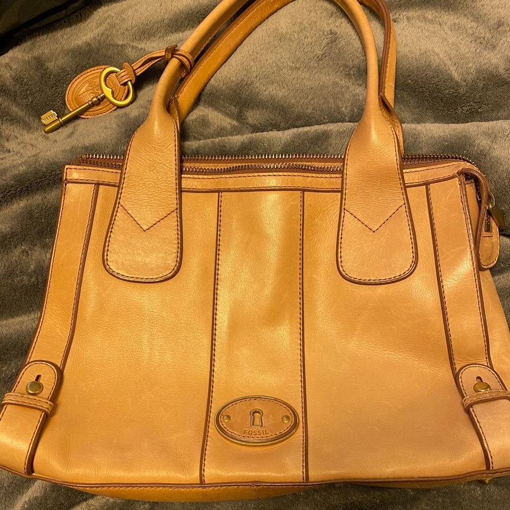 Fossil purse